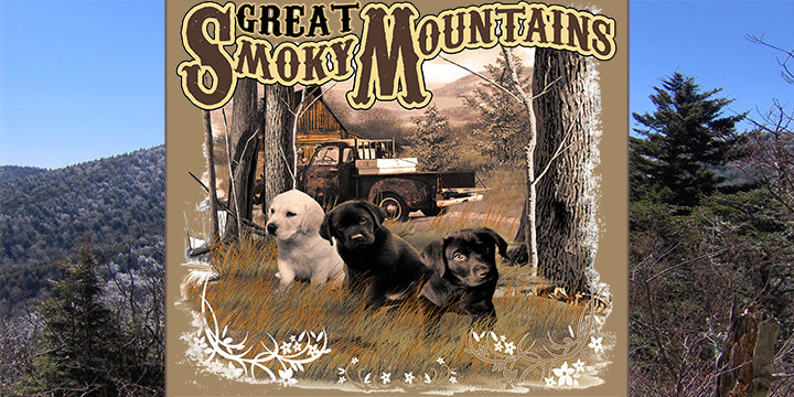 Travel Destinations-Great Smoky Mountains