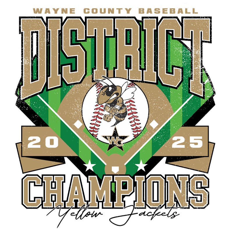 DISTRICT CHAMPIONS Wayne All Stars BASEBALL 8U