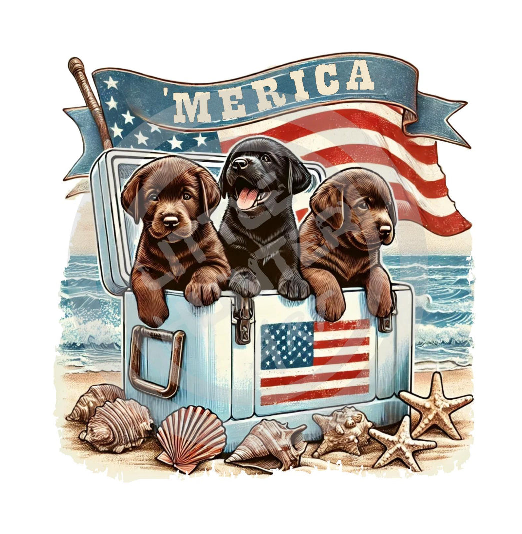 ‘Merica cooler Labrador puppies DTF Transfer