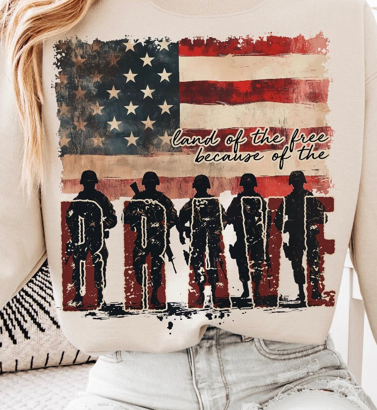 Land of the Free DTF Transfer
