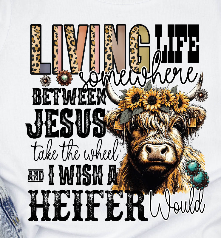 Living life somewhere between Jesus take the wheel and I wish a heifer would DTF transfer