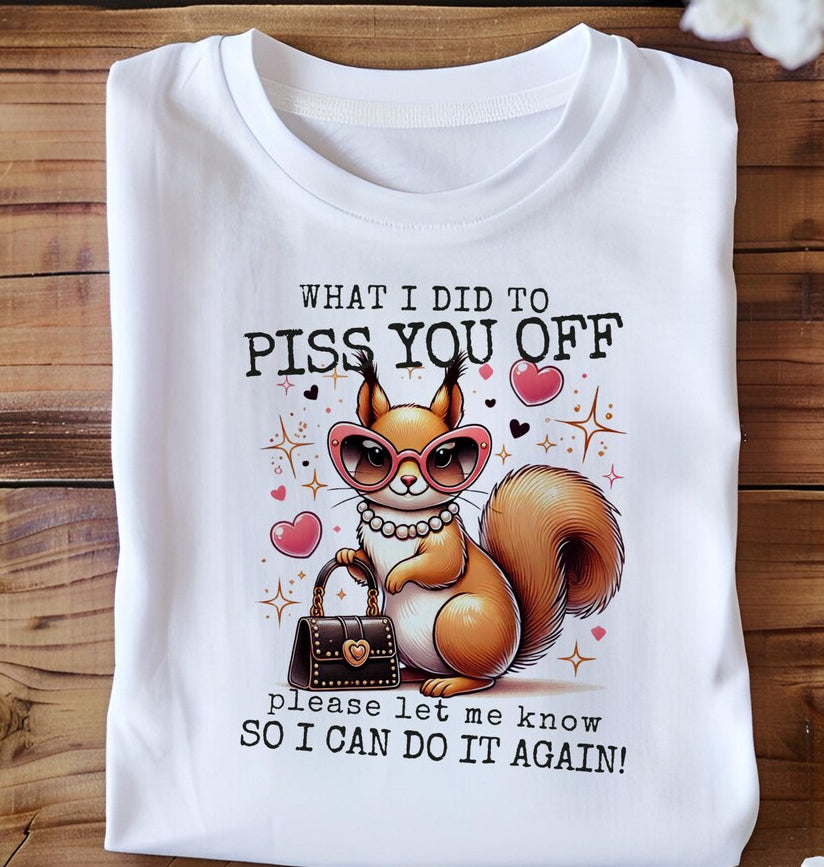 What did I do to Piss you off cute squirrel dtf transfer