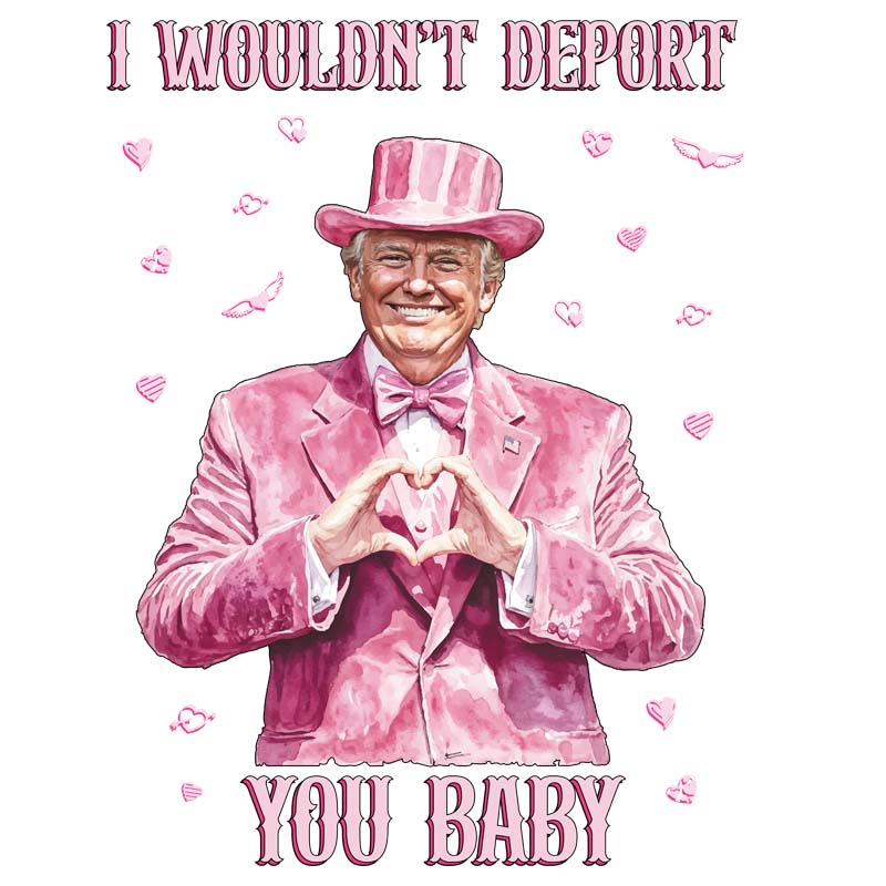 I Wouldn&#39;t Deport You Baby Trump DTF Transfer