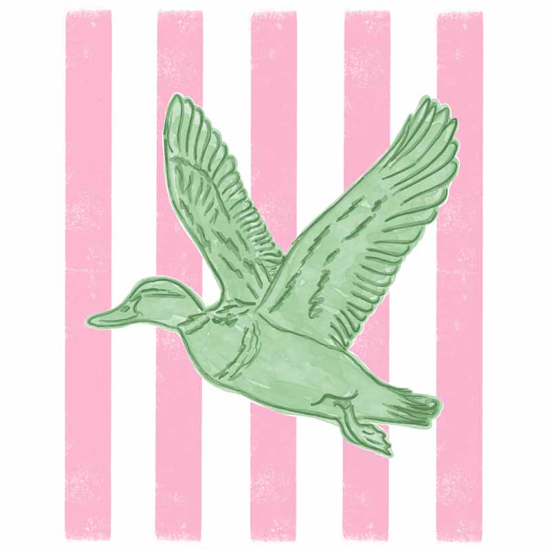Striped Duck DTF transfer