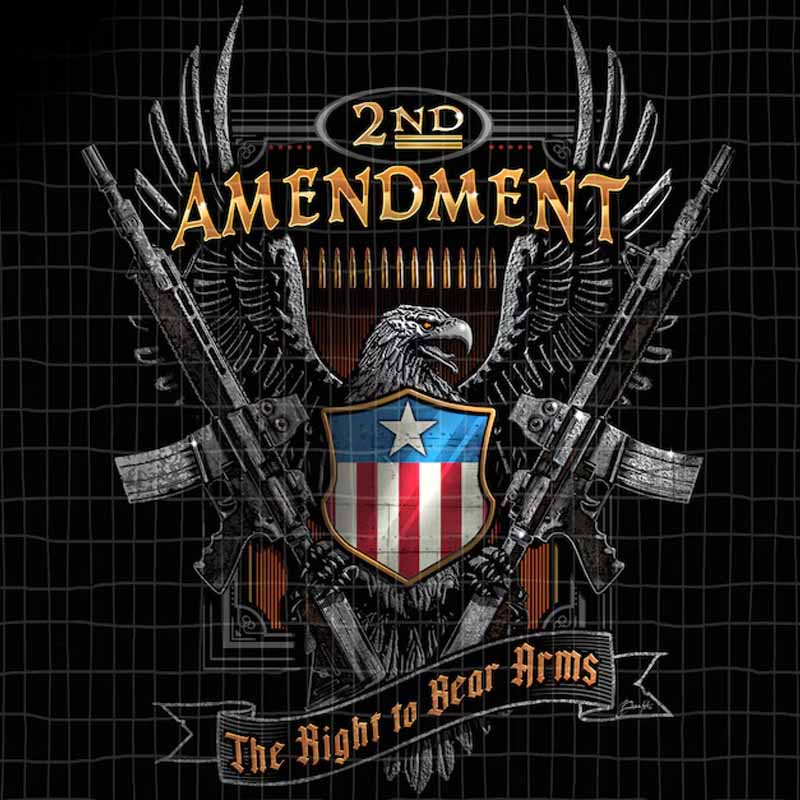 2nd Amendment Right to Bear Arms DTF transfer