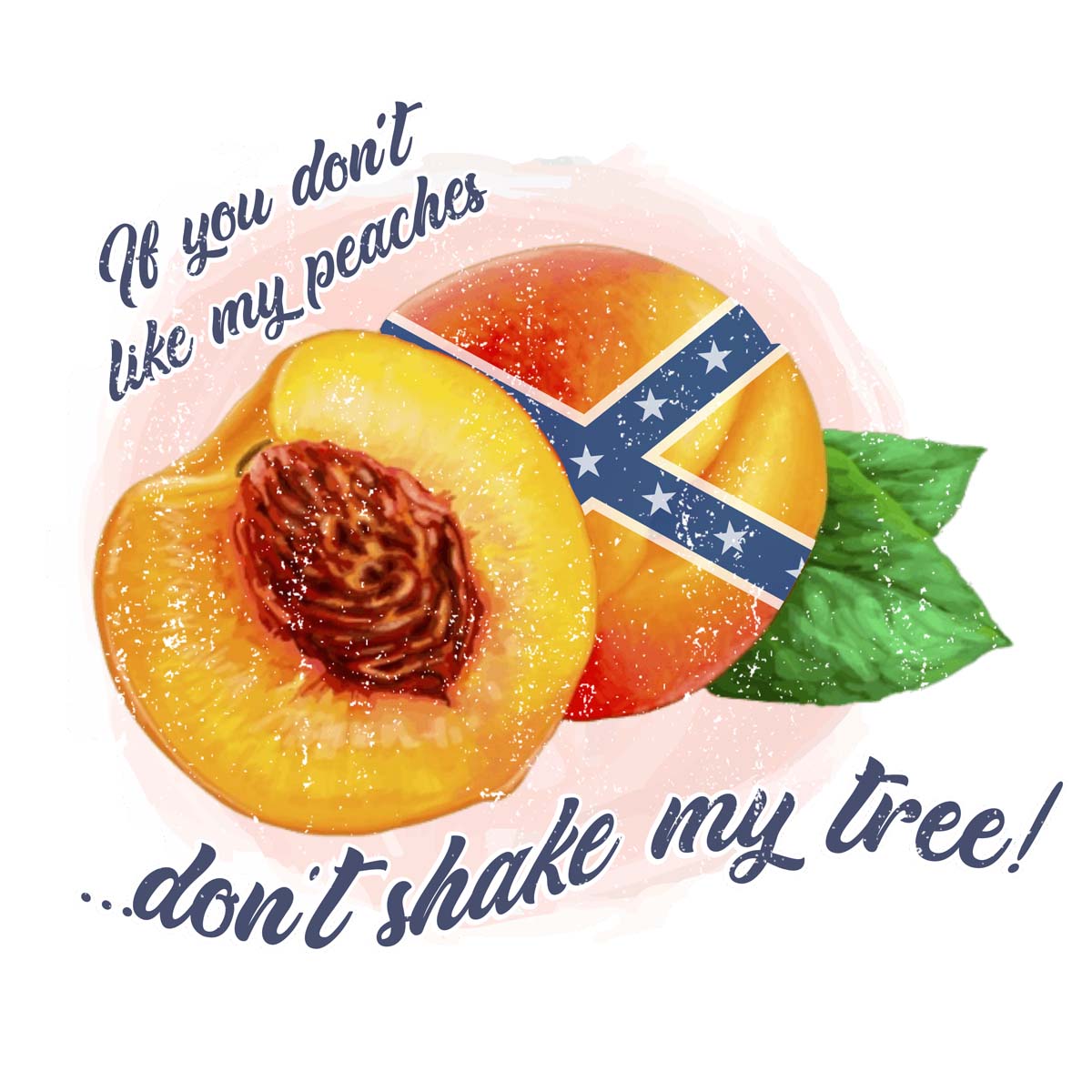 If You Don&#39;t Like My Peaches DTF Transfer