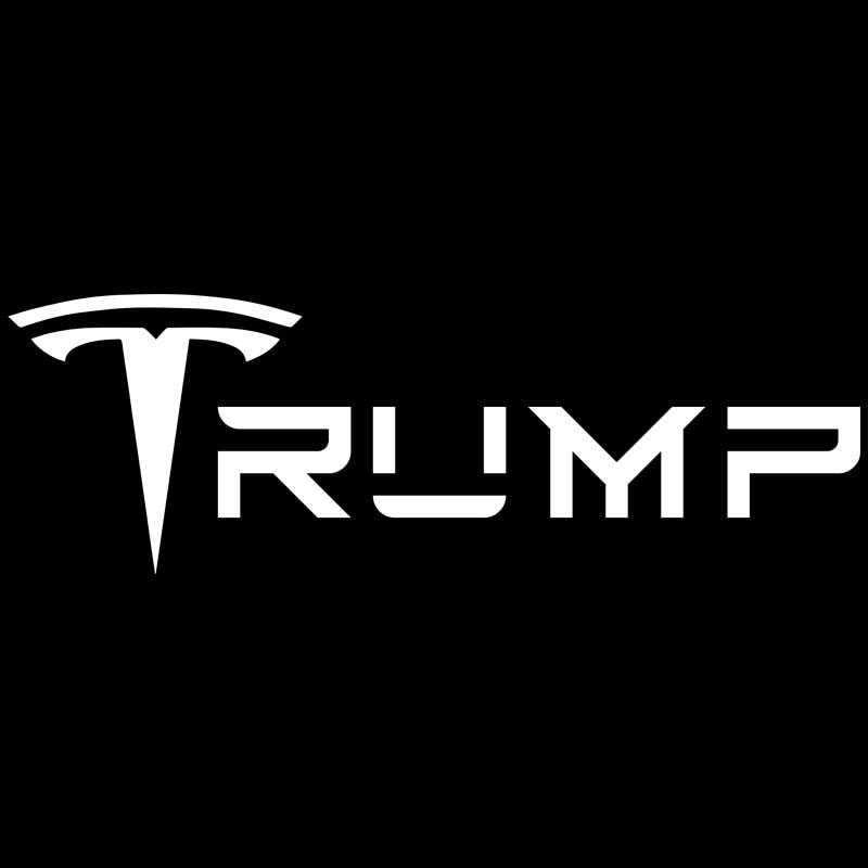 Tesla Trump DTF transfer