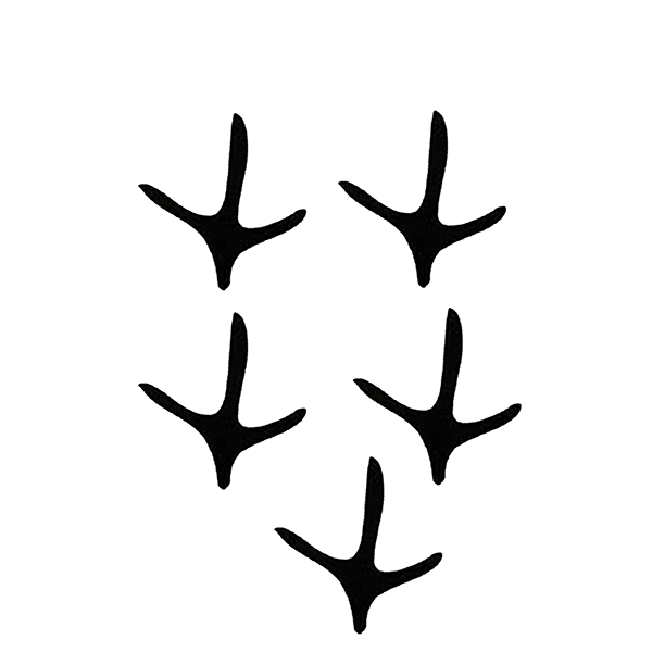 17073-01